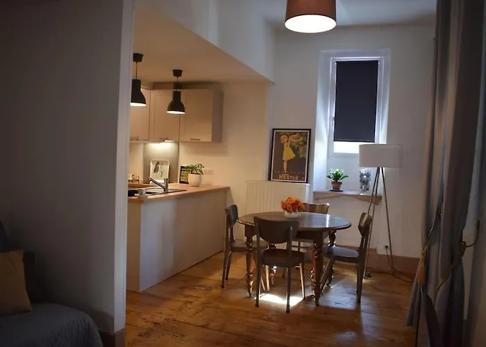 Appartement Avec Acces Piscine Et Jardin Dans Hotel Particulier